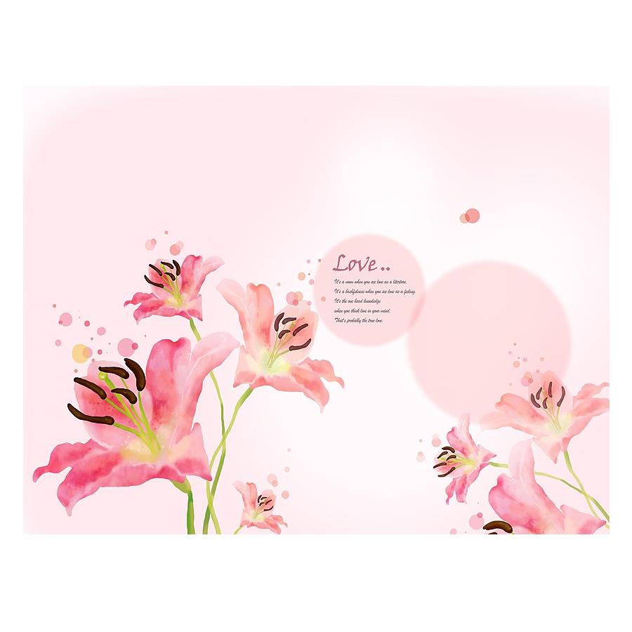 하우디 내츄럴벽지 x F-507 350