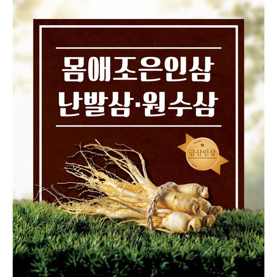 곱플러스 몸애조은 인삼 난발삼 10 12뿌리이내 600g 무료세척