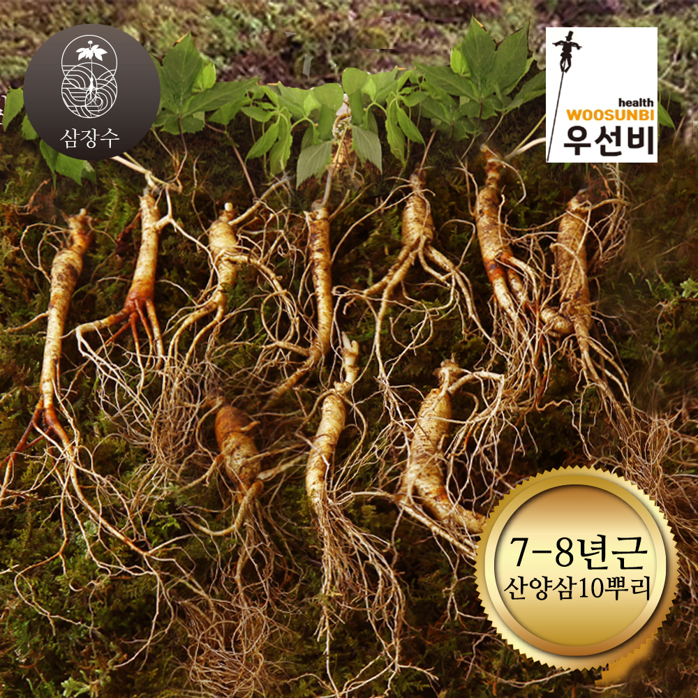 장뇌삼 삼장수 못난이 산양삼 횡성산 산양산삼 삼장수 산양삼 7 8년근 10뿌리 1박스 1개