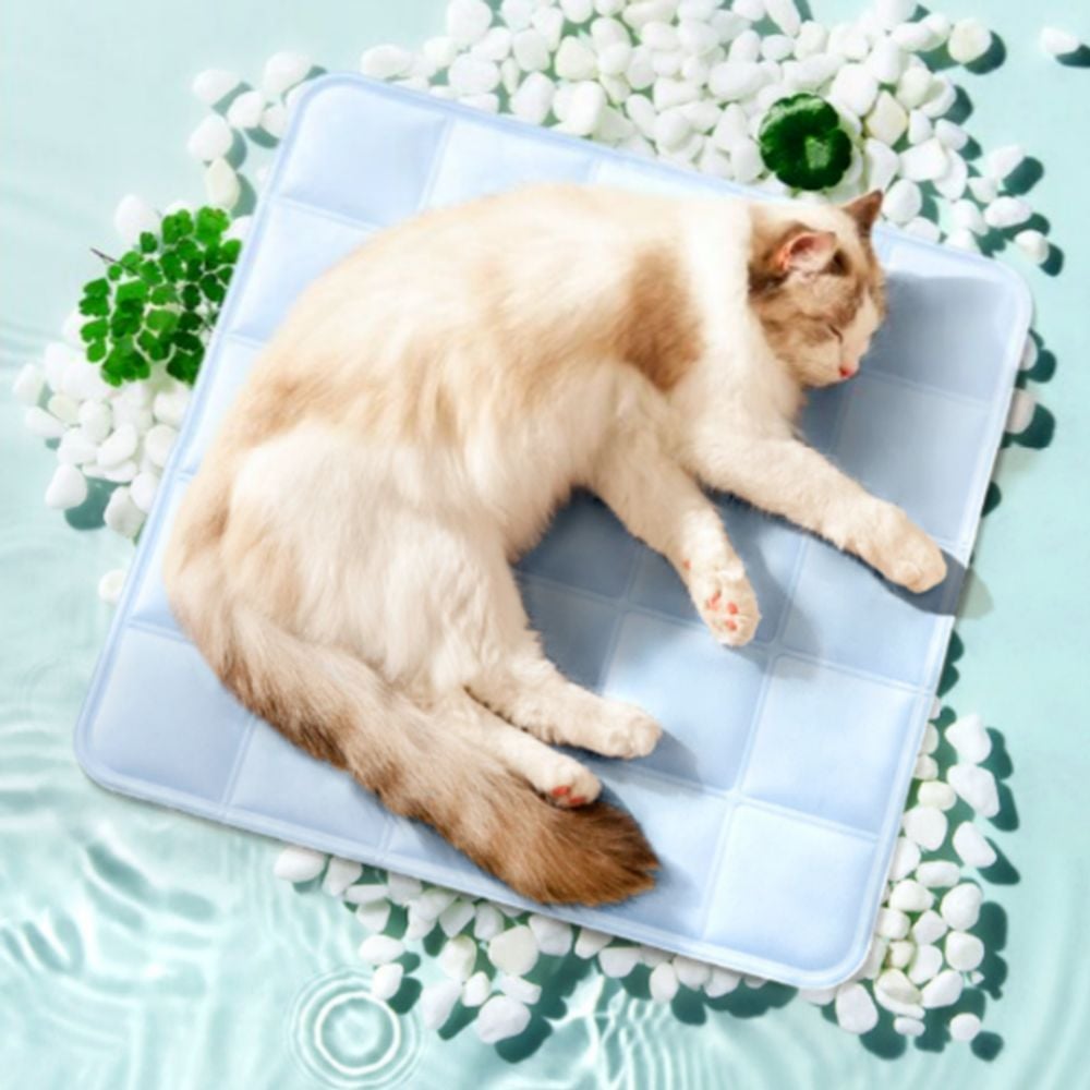 반려동물 쿨매트 쿨방석 강아지 고양이 TS-240818