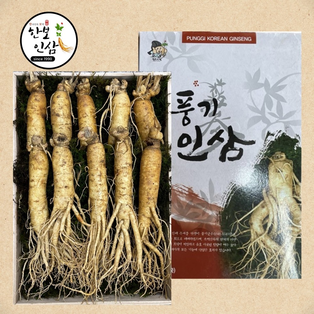 풍기인삼 10뿌리내외 정품인삼 종이상자선물포장 절충형 풍기인삼시장 한보인삼사 3세트 601g