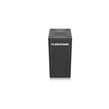 TC ELECTRONIC 티씨일렉트로닉 베이스용 캐비닛 BC208
