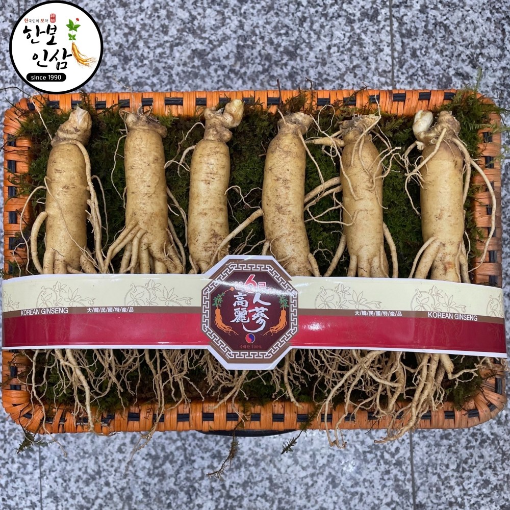 풍기 인삼 원수삼 6뿌리내외 고급 등바구니 포장 한보인삼사 8세트 480g