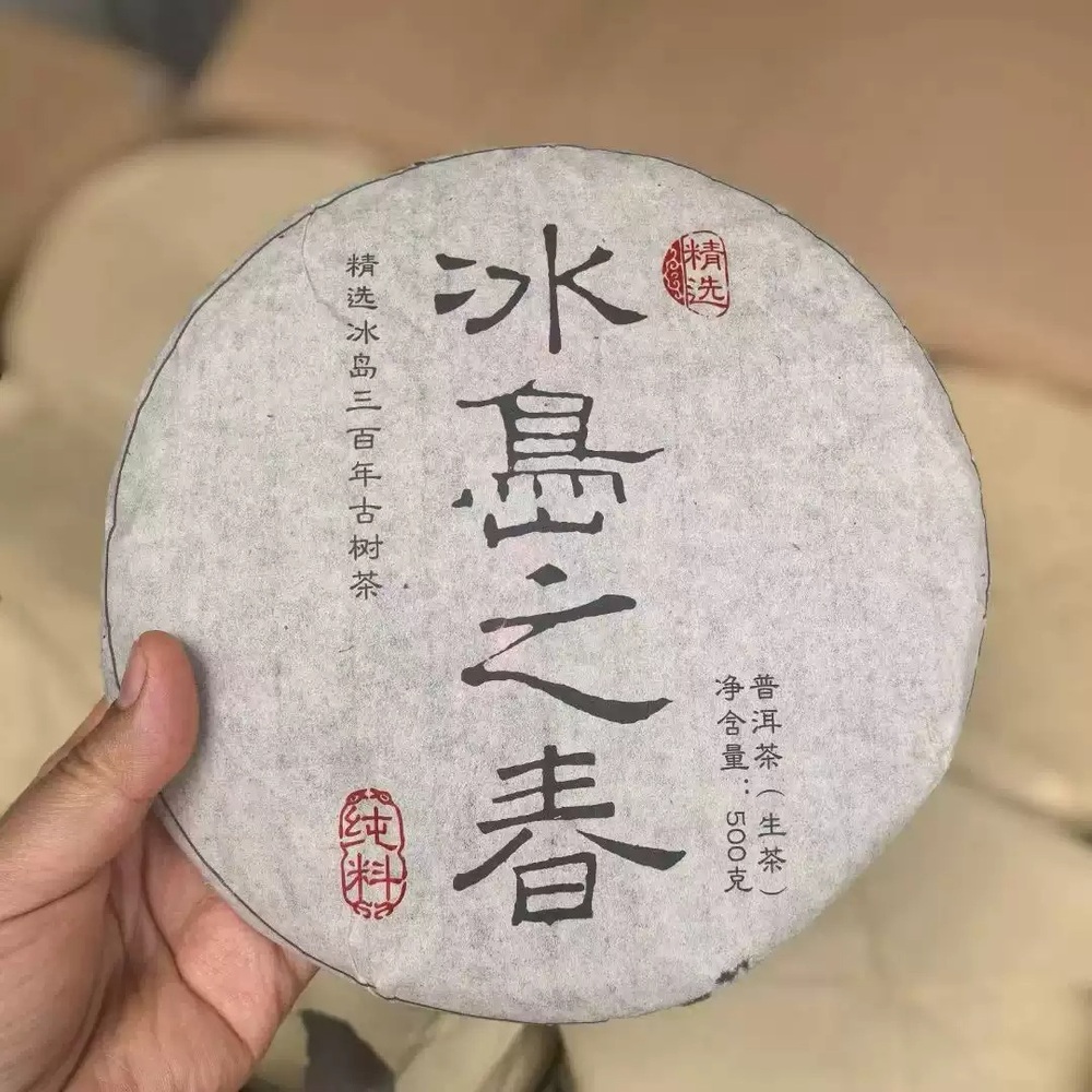2009년 청운차창 운남 빙도지춘 고수 보이차 생차 500g