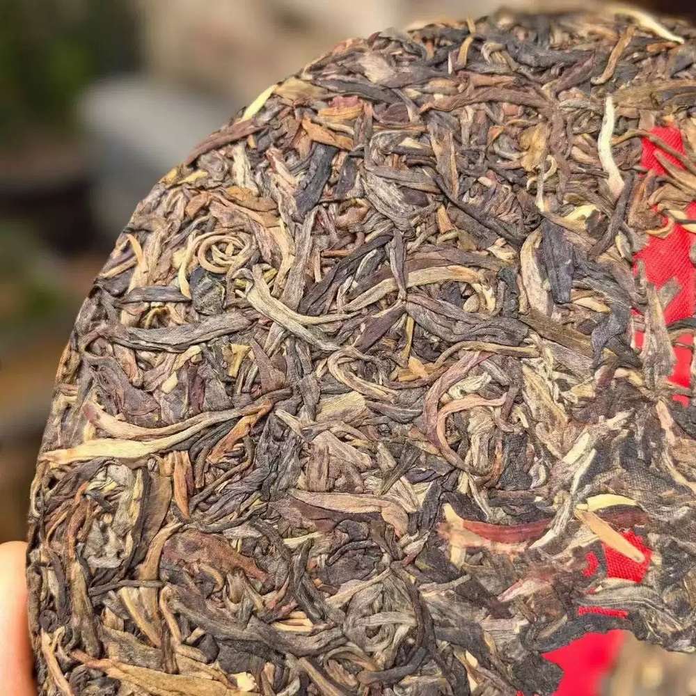 2009년 청운차창 운남 빙도지춘 고수 보이차 생차 500g