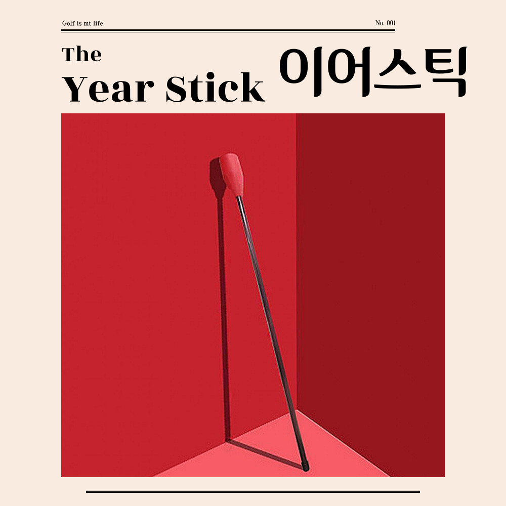 이어스틱 골프 스윙 연습기 장타 비거리