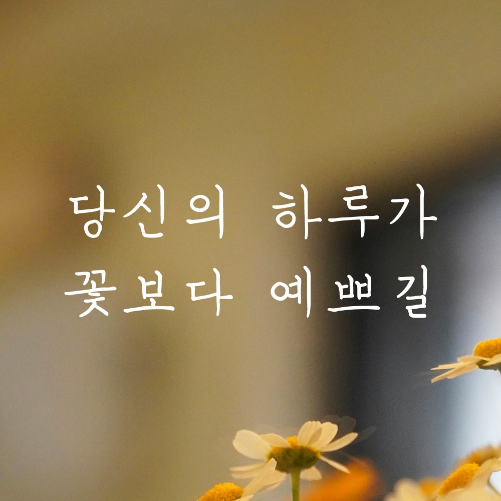 어썸투데이 인테리어 포인트 감성 손글씨 레터링 스티커 당신의 하루가 꽃보다 예쁘길 당신의 하루가 꽃보다 예쁘길 M 연핑크 LH-057