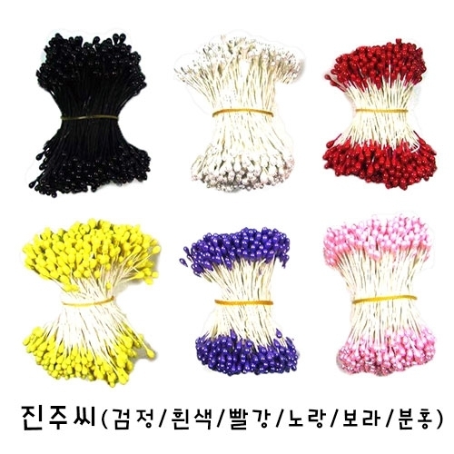 진주씨 체리아트