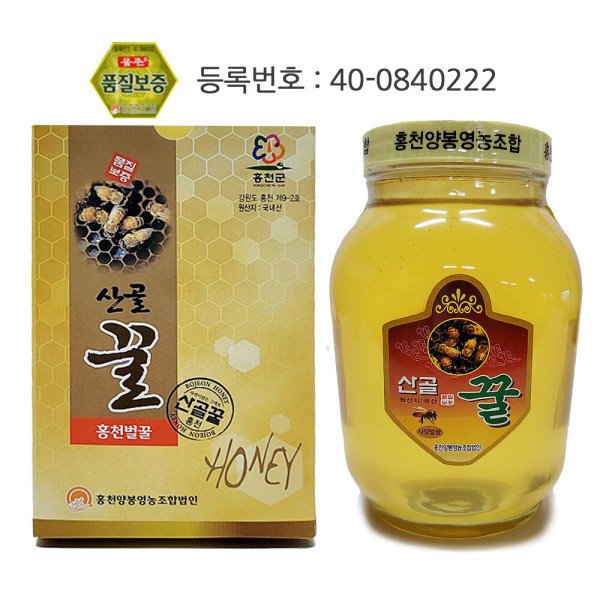 홍천양봉영농조합법인 국산 벌꿀 꿀 홍천벌꿀 연한색꿀 2 4kg