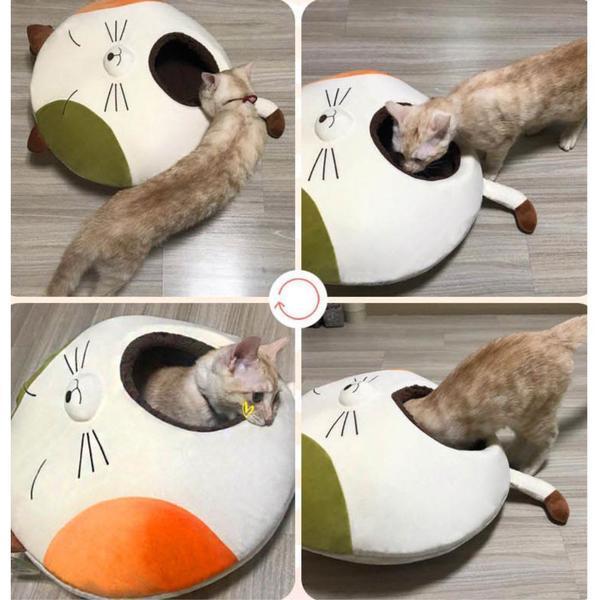 돼냥이 꿀잠 포근 동굴형 부드러운 하우스 실내집