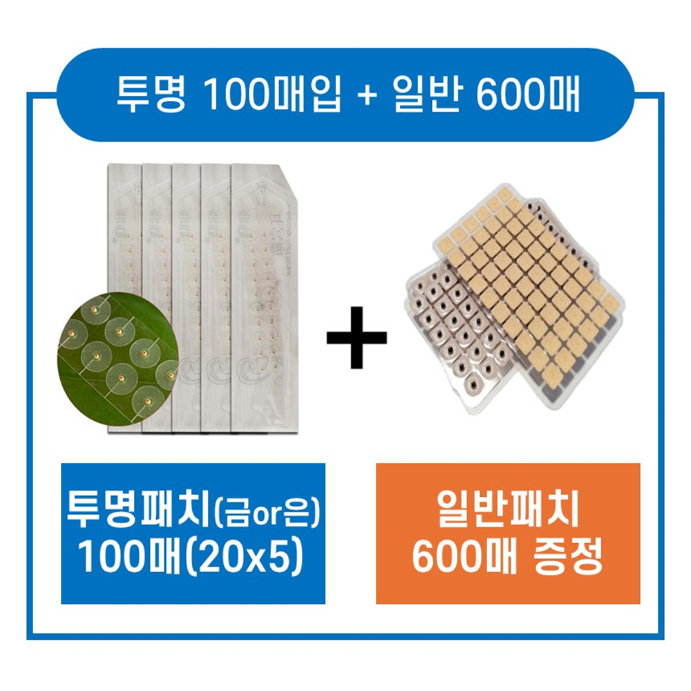 투명 귀 지압 패치 100매 귀침 혈자리 이혈 테라피 이어테라피 스티커 이혈기석 붓기 순환템
