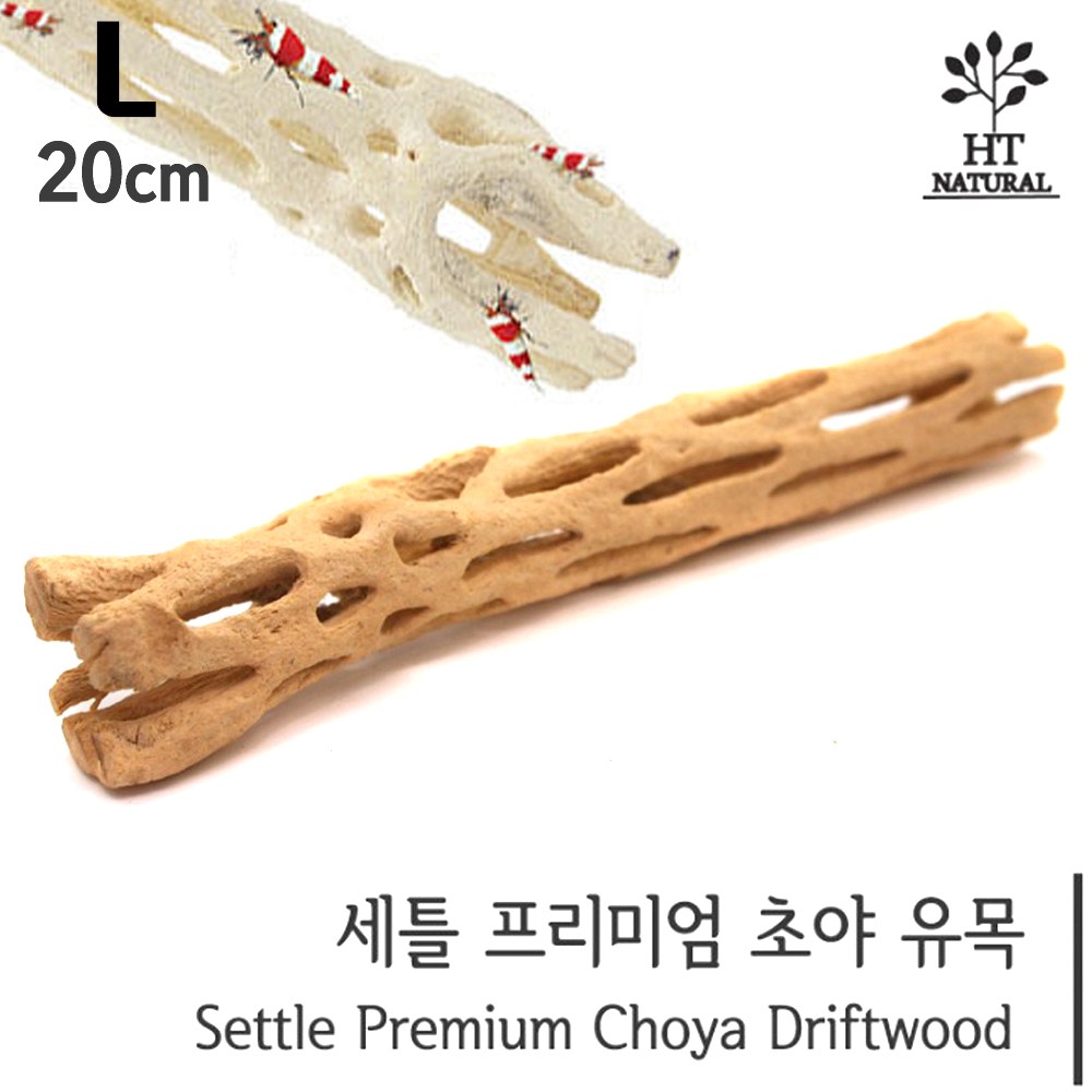 프리미엄 초야우드 선인장 유목 수족관 어항 수조 새우 CRS 쉬림프 구피 치어 놀이터 은신처 장식품 1개
