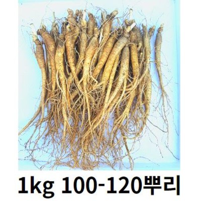 인삼 금산인삼 수삼 뿌리 삼계탕 용인삼업소용 삼계탕인삼 햇인삼 삼계탕재료 금산인삼직거래 750g 뿌리 세척 0 1개 80-100