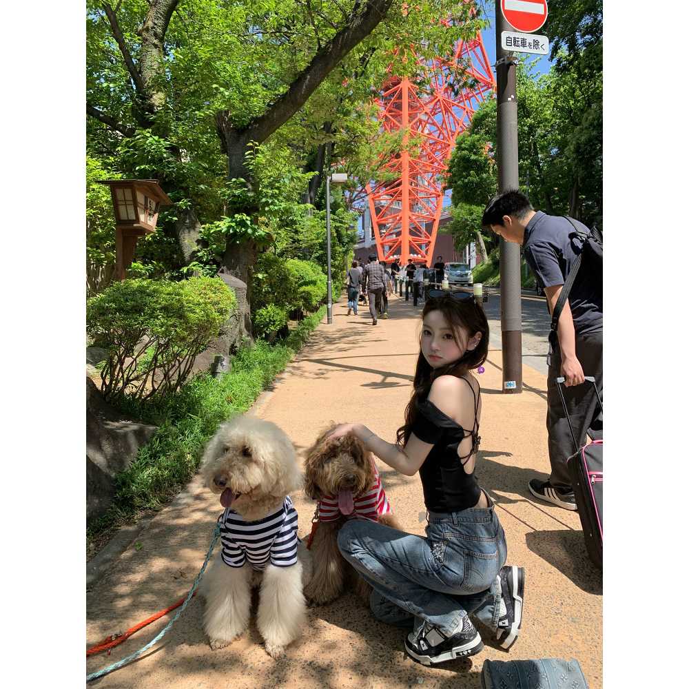 톨즈 백리스 반소매 티셔츠 탑 2col 페이지 참고 M