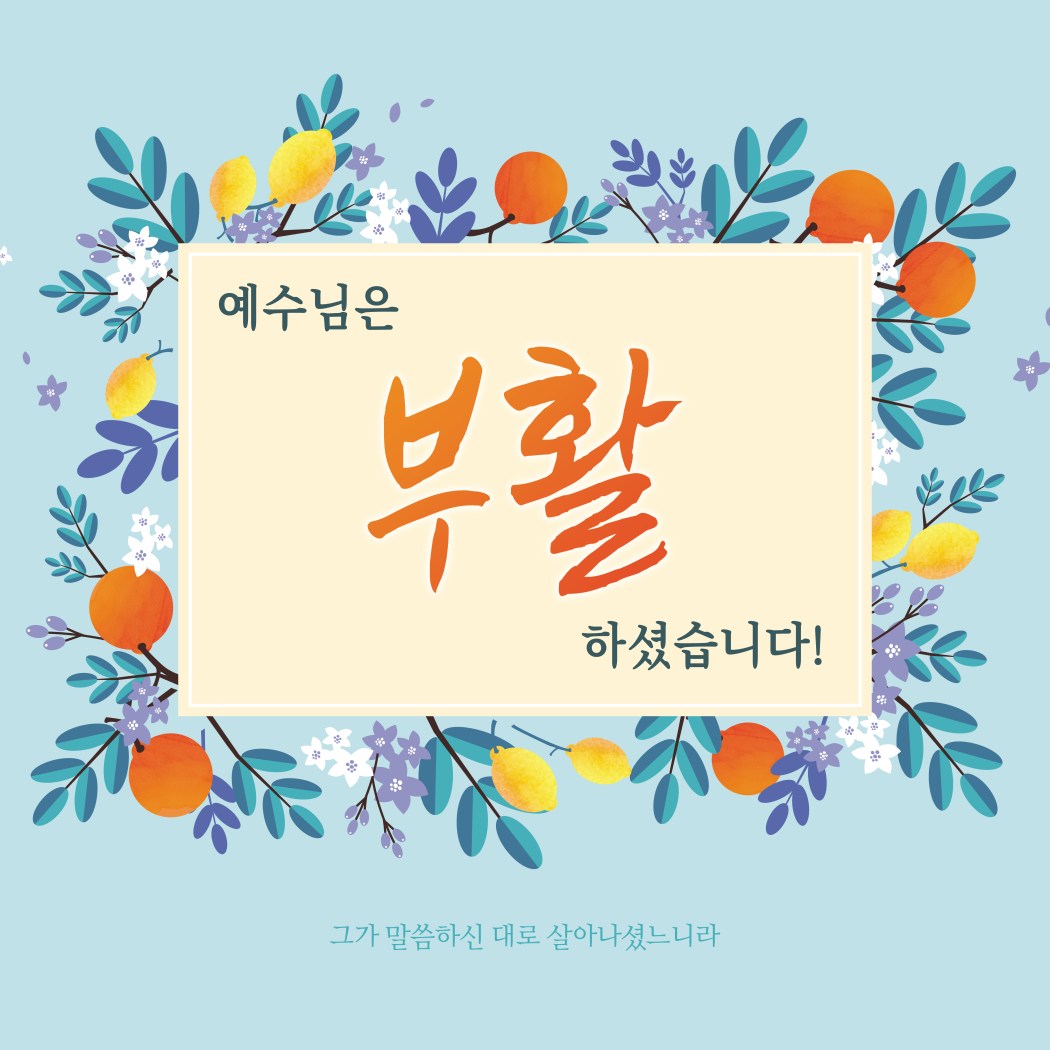 부활절 현수막 - 예수님은 부활하셨습니다 x 23117BLD 50