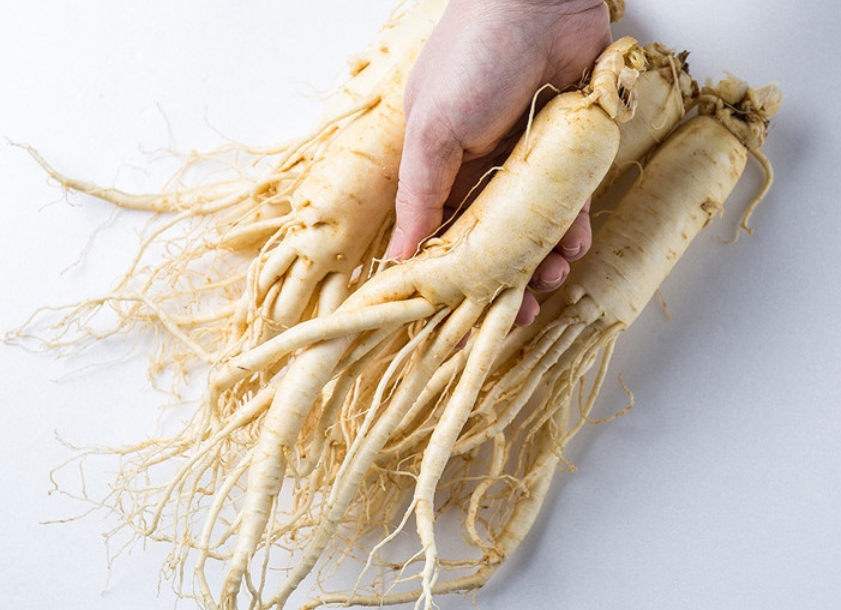 금산백년가족 인삼 세척 원수삼 대 750g 1개