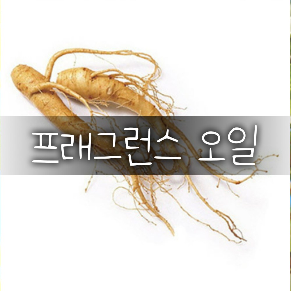 엔피솝 인삼 Ginseng 프래그런스오일 1L 인공향 캔들 디퓨저 방향제 1개