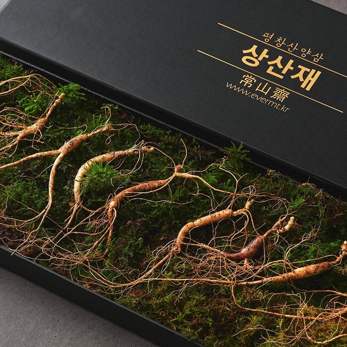 상산재 평창산삼 산양삼 5년근 장뇌삼 산양산삼