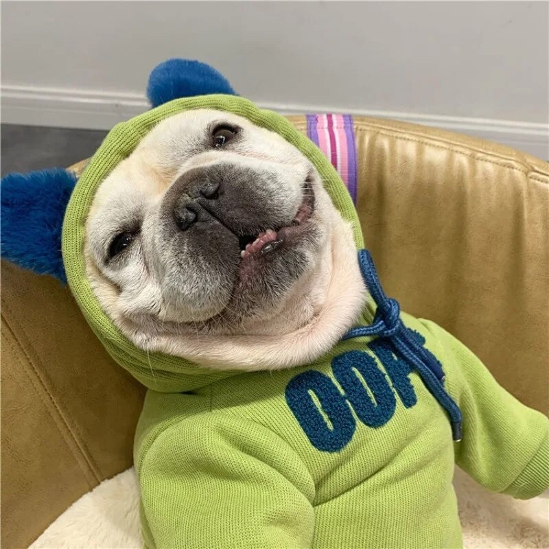 Sevalo 애견 가을 겨울 프렌치 불독 옷 법투 후드 잉투바고 배낭 곰 테디가드 기모 맨투맨 녹색 1개