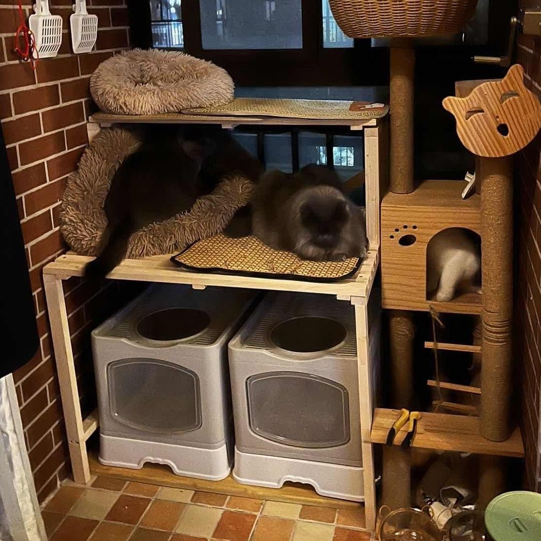 고양이화장실선반 나무 원목 공간 선반 고양이 화장실