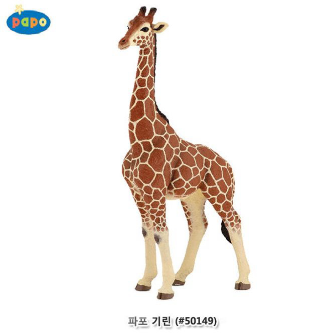 파포 동물 모형완구 기린 50149 동물 인형 공룡 장난감 피 규어 모형 월드 곤충 고래상어 학습 교구