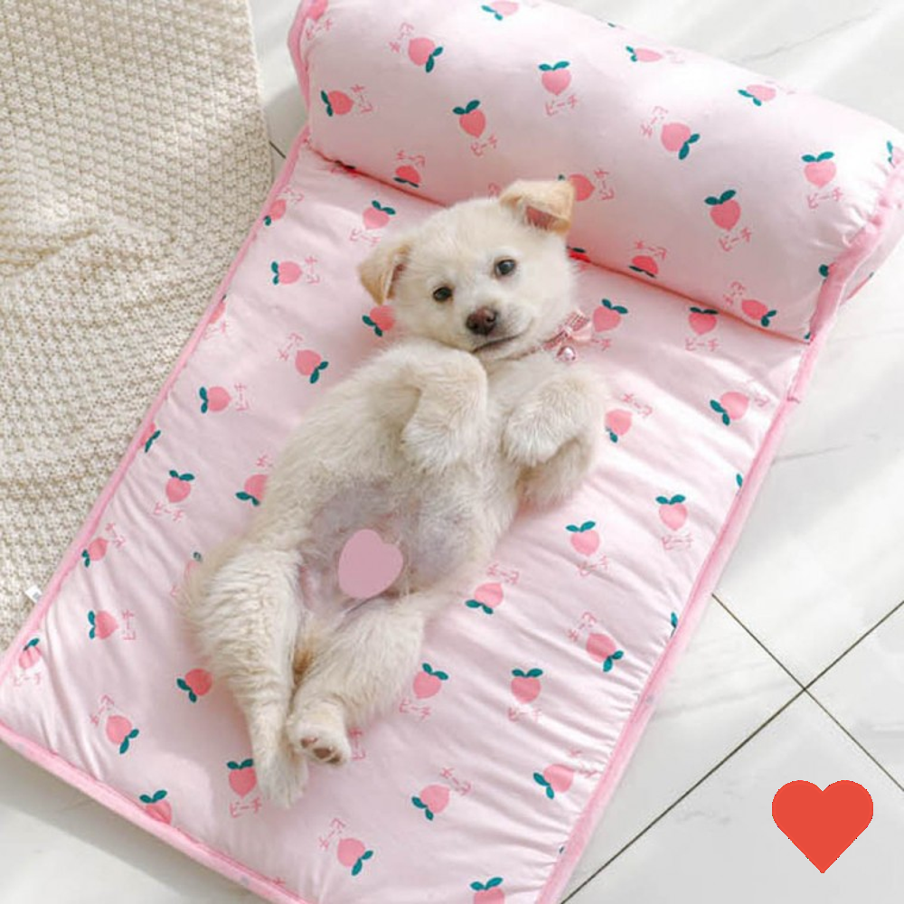 반려동물 매트 디자인 강아지 고양이 푹신 쿨매트 1개 L