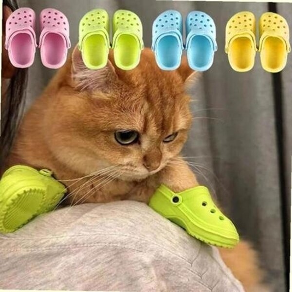 크레용펫 고양이 냥록스 애견 신발 촬영 소품 슬리퍼