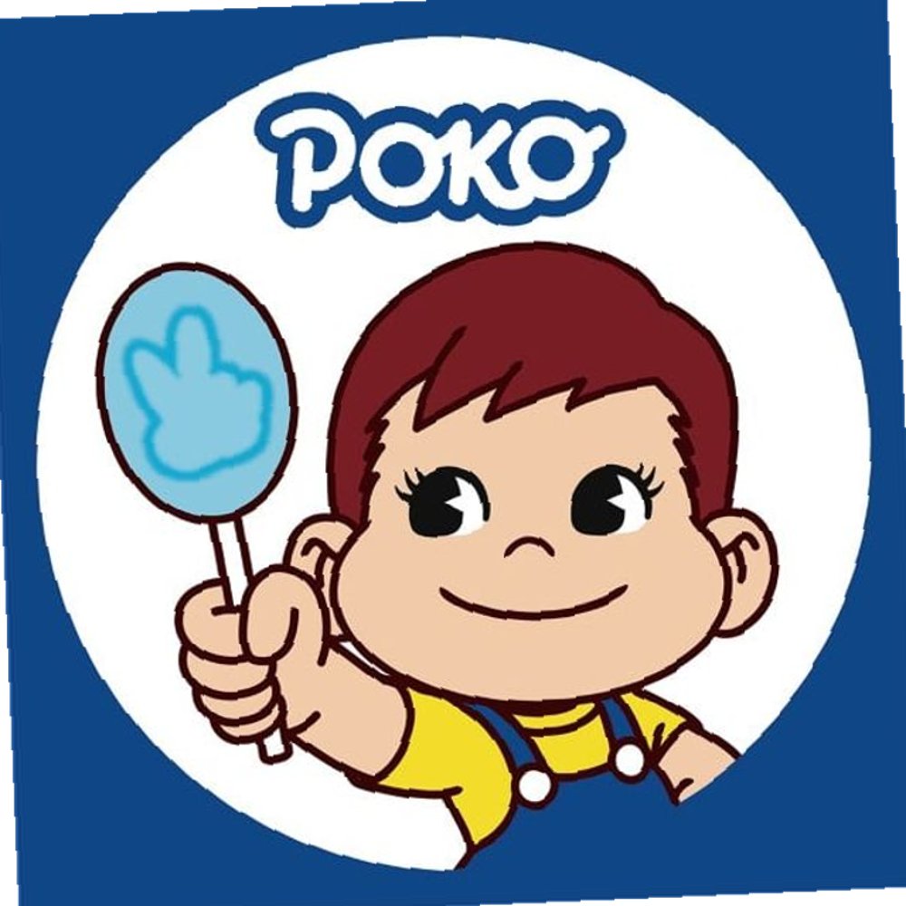 DIY 보석십자수 큐빅페인팅 PEKO 페코 포코 20X20