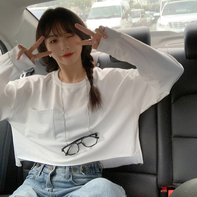 POMTOR 느슨한 짧은 허리 스웨터 여성의 얇은 작은 코트 물고기비늘 걸레 M