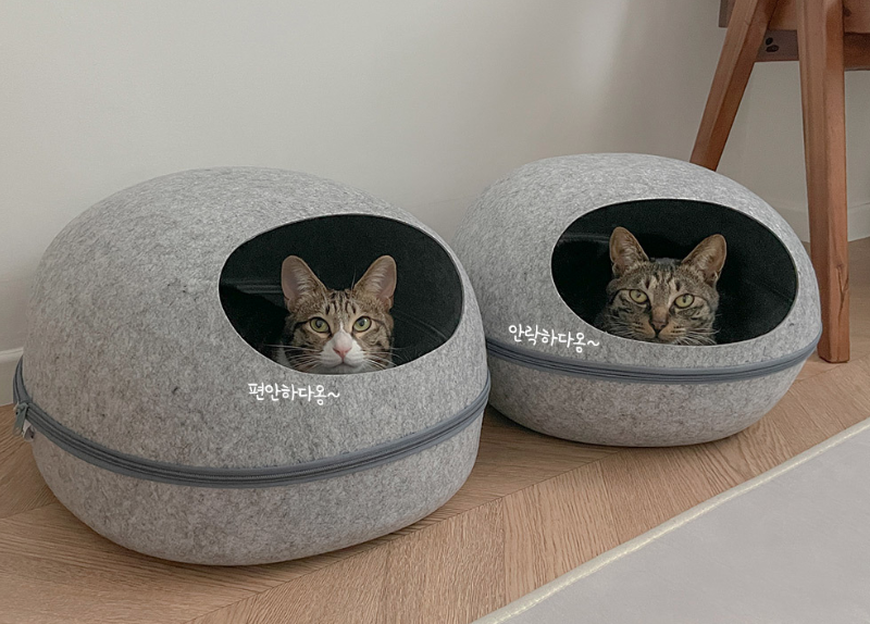 뚜또가또 반려동물 고양이 하우스 안락한 숨숨집 중형 대형 L 대형