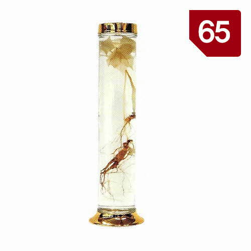 용천자연유리 용천자연유리 담금주병 수동65호 1 7L 1개