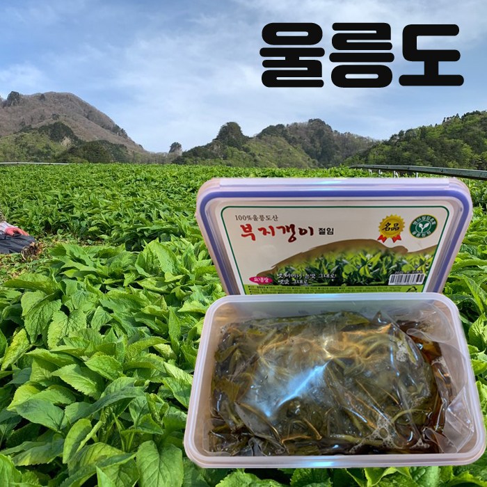 울릉청정 새순으로 만든 울릉도 부지갱이절임 800g