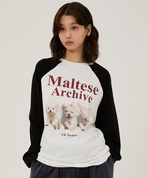 WAIKEI 와이케이 WAIKEI 말티즈 아카이브 래글런 롱슬리브 티셔츠 YKBD01TS10-1 229851