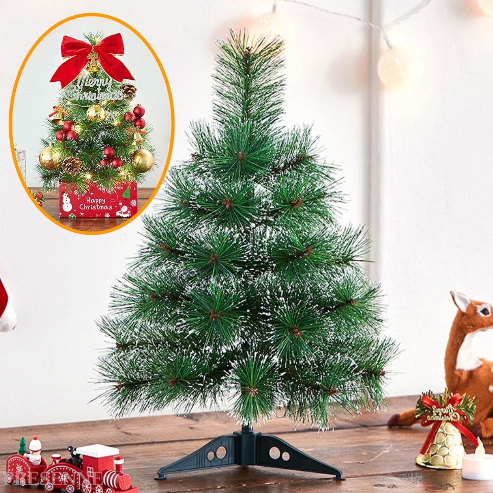 TREE 리얼 탁상용 소나무트리 탁자 식탁 파인 솔잎츄리 거실 데스크