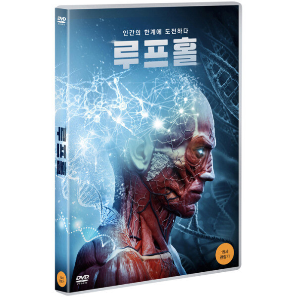 비디오여행 DVD 루프홀 LOOPHOLE