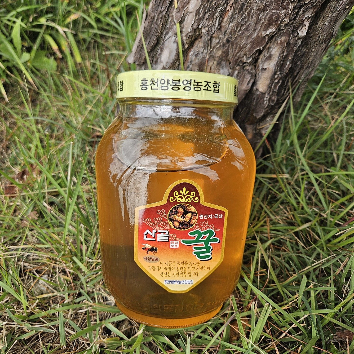 홍천양봉영농조합법인 홍천벌꿀 산골꿀 홍천양봉 꿀 꿀1병 2 4KG 사양벌꿀