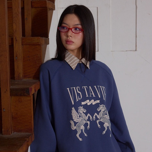스너기스트 Lucas Raglan Sweatshirt Dusty