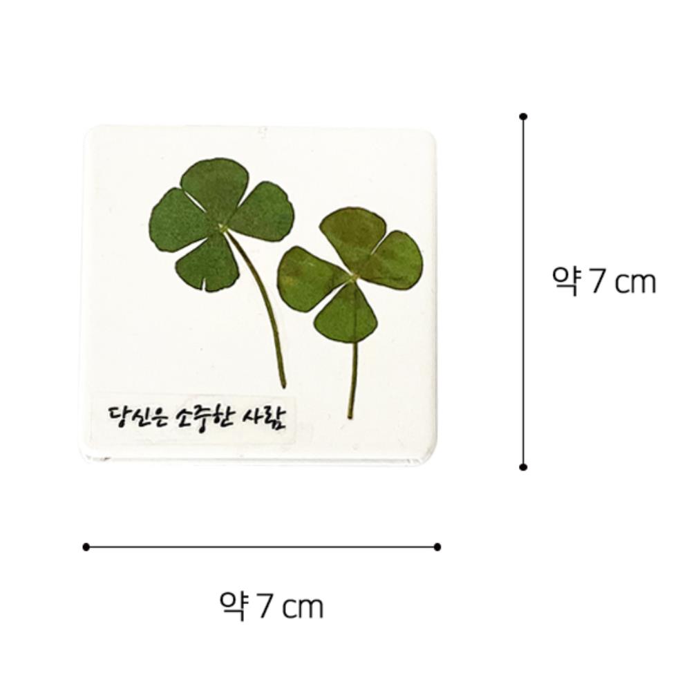 초등학생 크로버 손거울 만들기 5인세트 창의성발달 저학년 초딩DIY 어린이집