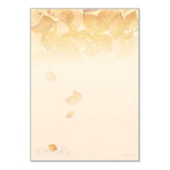 OPM 디자인 OA 종이나라 페이퍼 A4 31 210x297 1개 X 5세트
