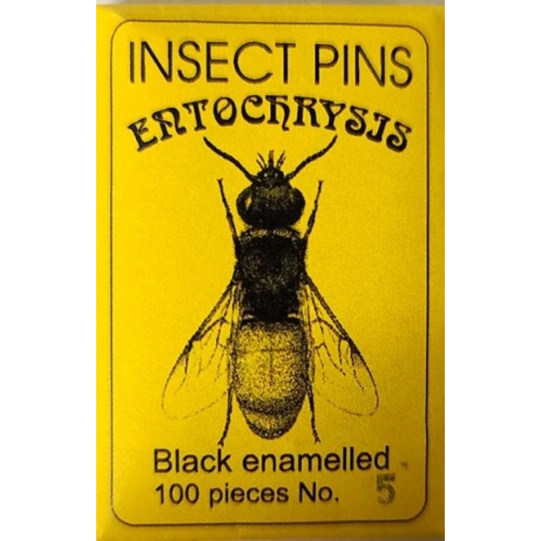 Insect pins 곤충표본핀 BEE 블랙핀 000호 1개