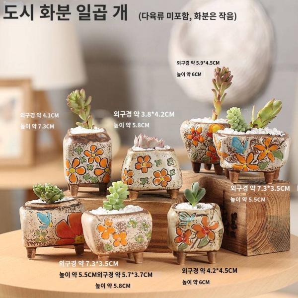 마침표 컨트롤 다육화분 미니 스몰 엄지 화분 다육화분 채색 한국식 핸드페인팅 고기 스틱