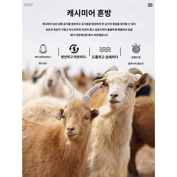 캐시미어 함유 삼나무 반폴라 맨투맨 2024 가을 겨울 라운드 보온 긴팔 무지 상의
