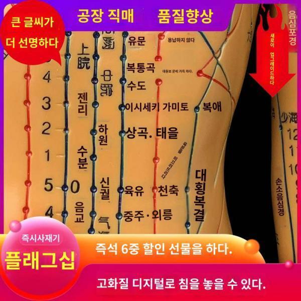 침구혈자리 마네킹은 침을 놓을 수 있다 전신대도소동인형 모델 비한방용 실물인형