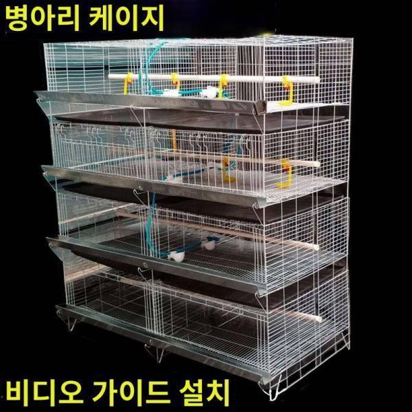 굵은 병아리 케이지 육추 케이지 육추 케이지 육계 케이지 육계 케이지 육계 케이지 육종 공장