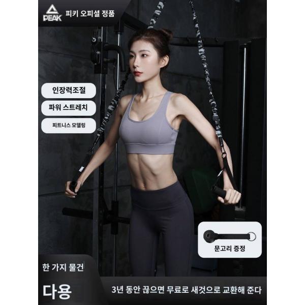 피클라리움 멀티 헬스 운동기구 가정용 여 오픈숄더 단련 당김줄 훈련 신기
