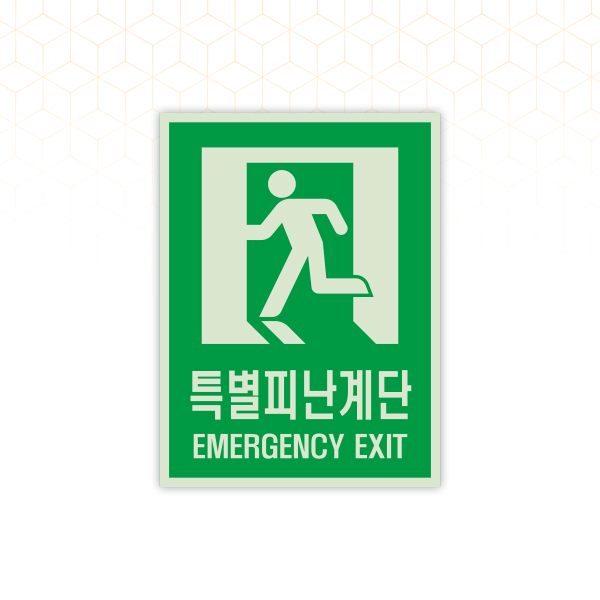 INNOTECH INNOTECH 비상구 EXIT 화재대피표시 화재대피문A 스티커 500C 200x300 고휘도축광 화재대피문A 500C08-02