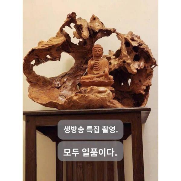 생방송 특집 뿌리조각 고목 신중국 장식 선의건포태풍화 뿌리연장식 촬영
