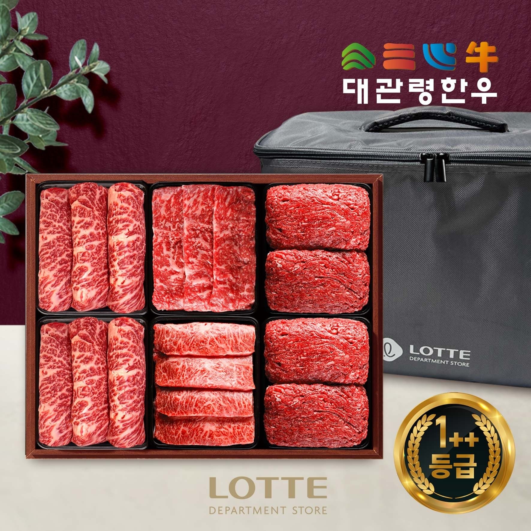 동화정육 1 대관령한우 VIP 2호 세트 3 0kg 등 등 채 부 불 불 냉장