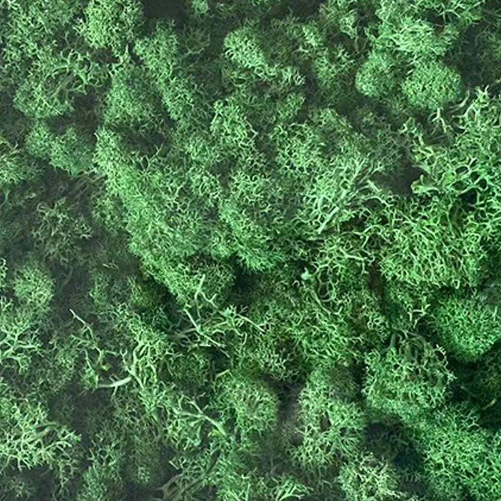인공 녹색 식물 가짜 풀 이끼 장식 꽃 재료 정원 조경 8 green 1개 C 200g