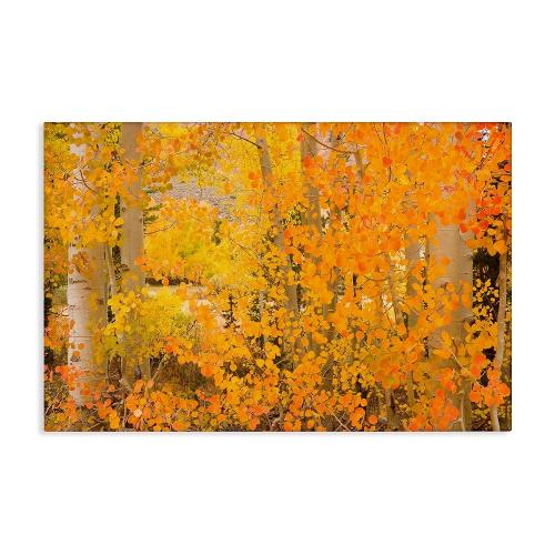 Stupell Industries 고밀도 자작나무 나뭇잎 캔버스 벽 아트 디자인 Richard Wong 45 x 30